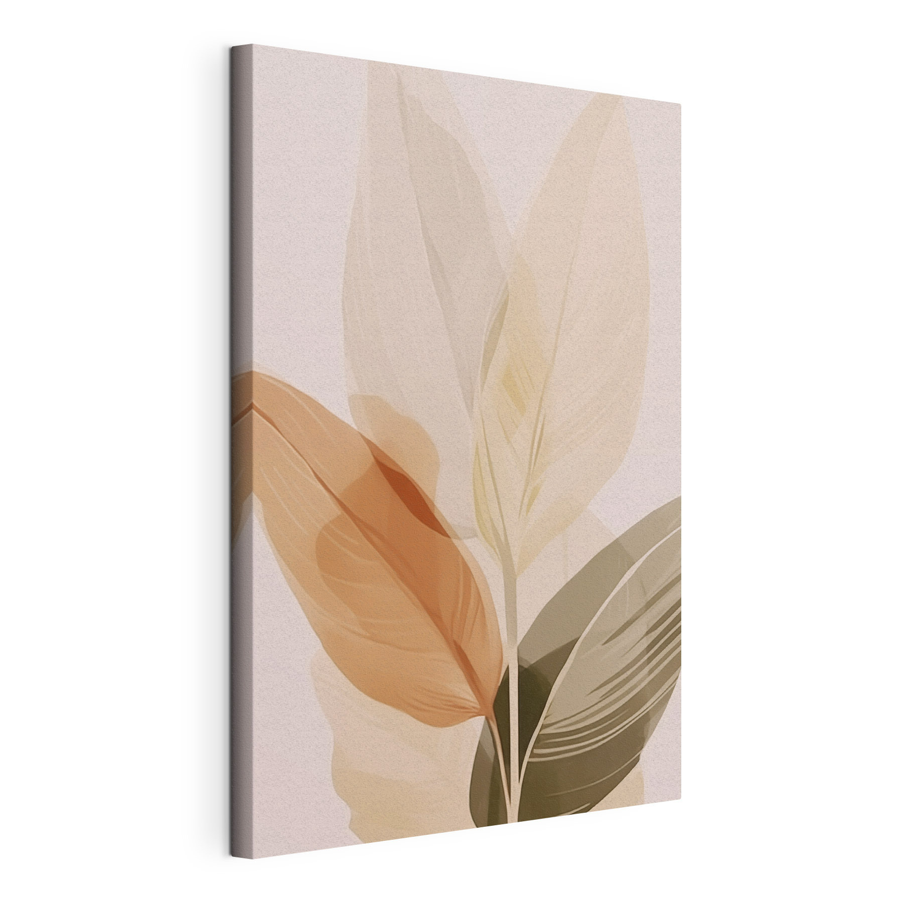 Soft hues of nature's elegance