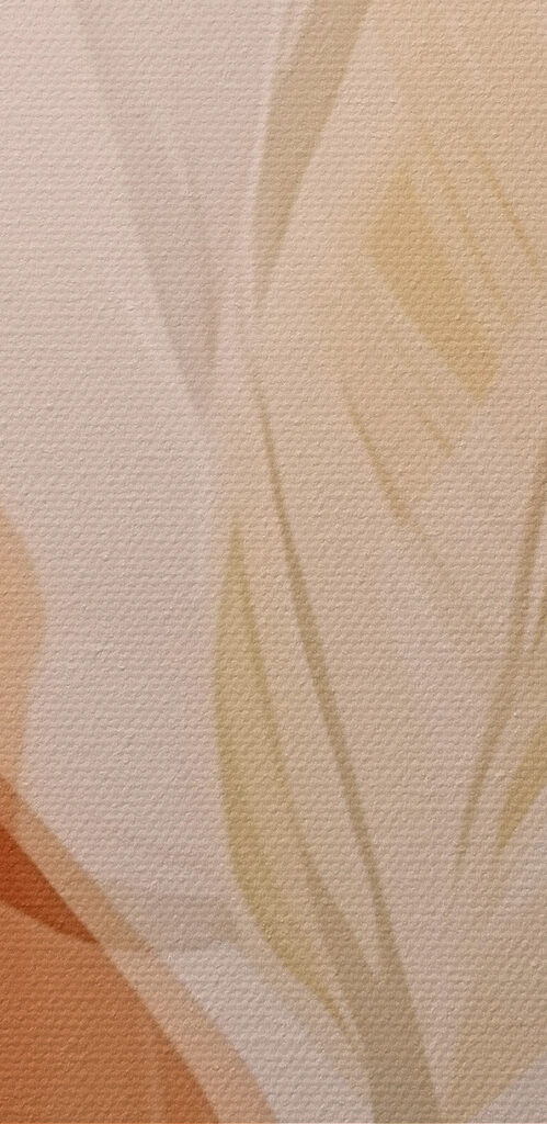 Soft hues of nature's elegance