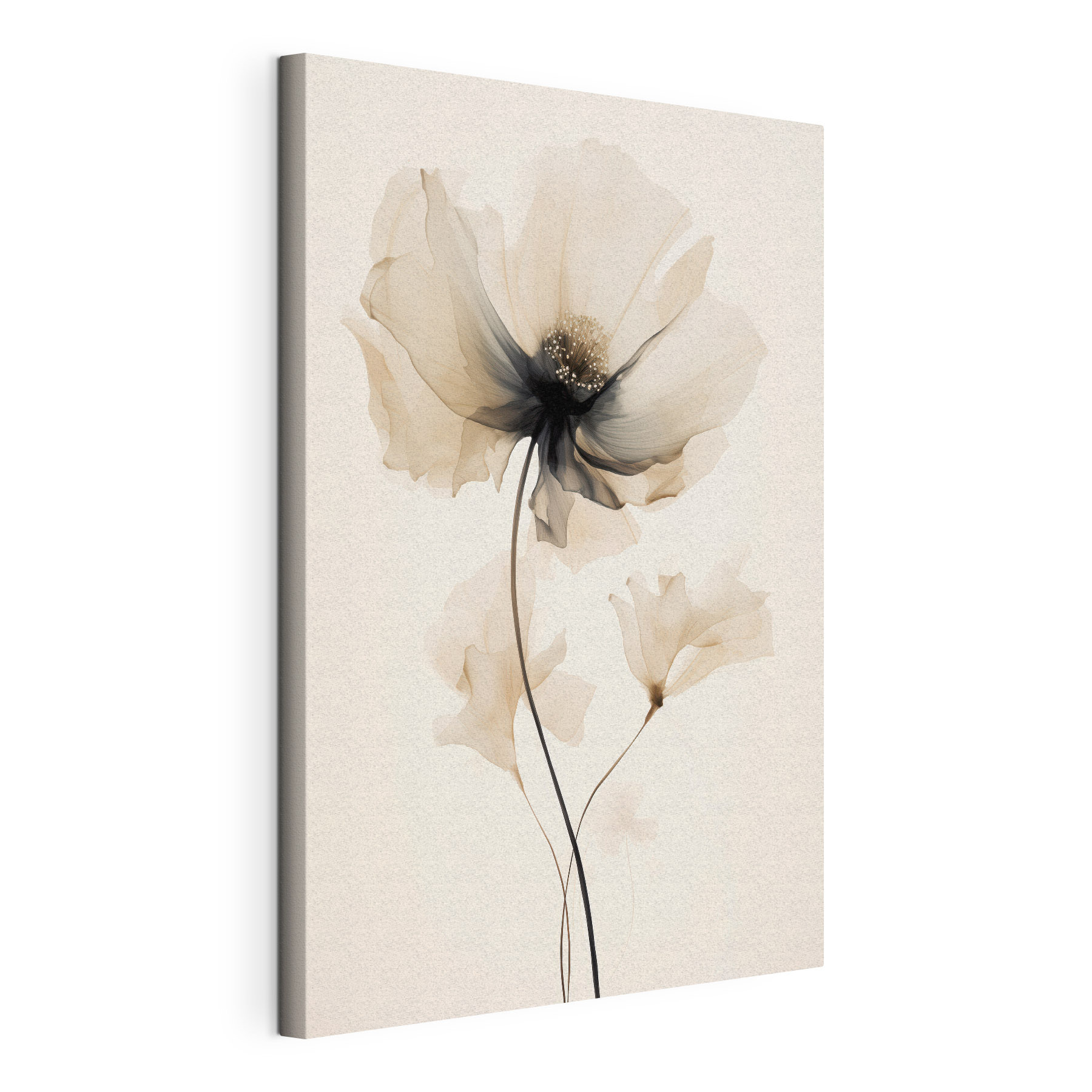 Flower with transparent petals