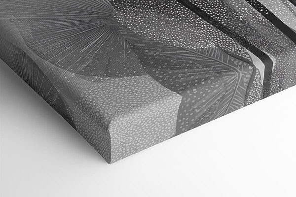 Group of black and white flowers Group of black and white flowers