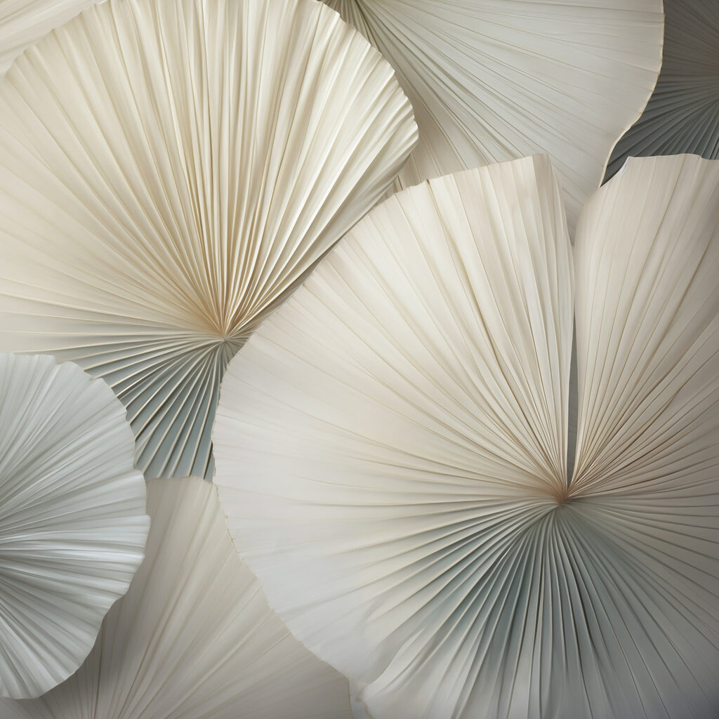 Group of white fan shaped leaves