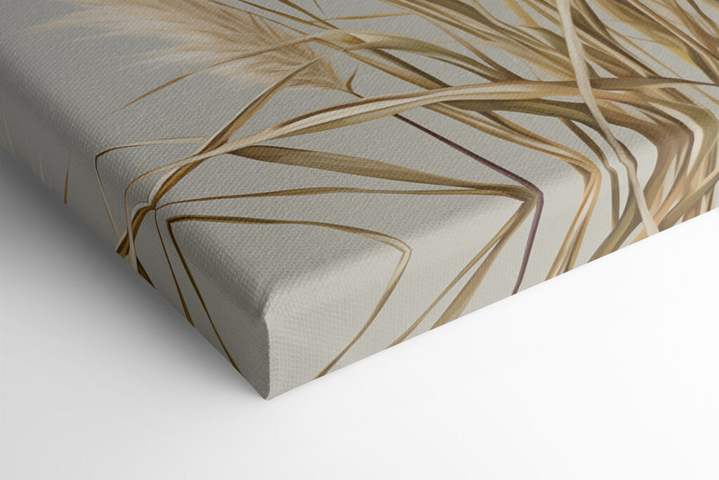 Pampas grass in soft pastel tones