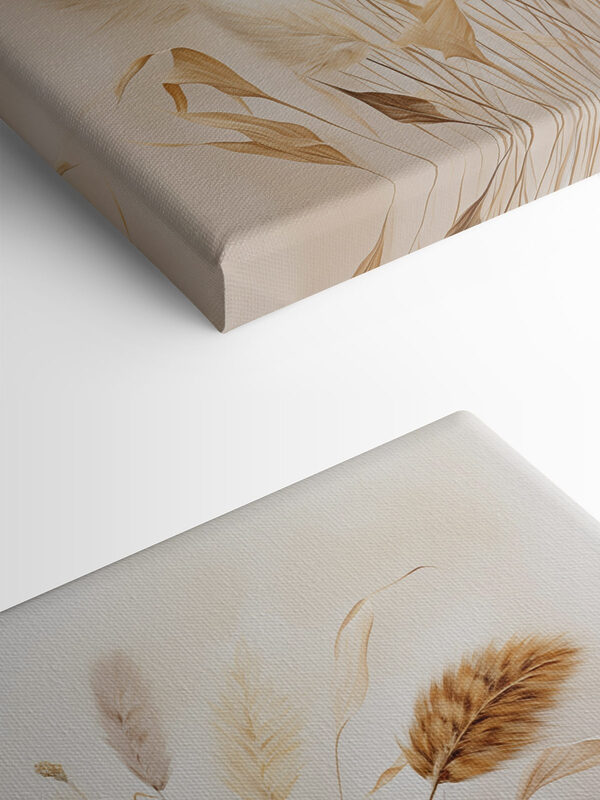 Bunch of wheat on a white background