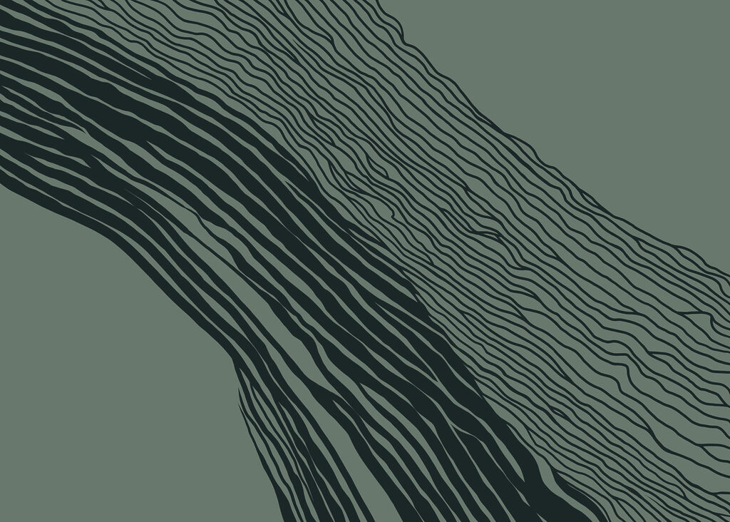 Black and white lines on a green background