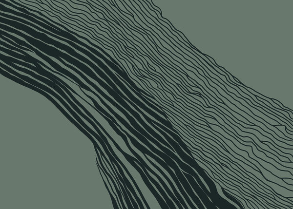 Black and white lines on a green background