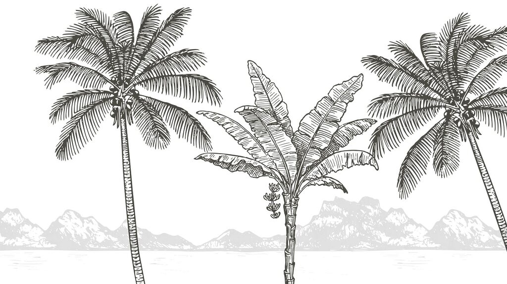 Palm trees and a beach Palm trees and a beach