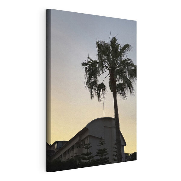 Cuadros Palmera frente a un edificio (SKU: s49696) Cuadros Cuadros Palmera frente a un edificio (SKU: s49696)