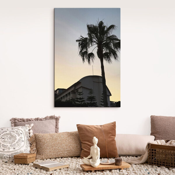 Palm tree in front of a building