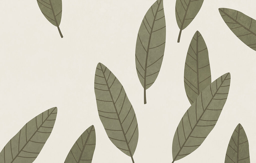 Group of leaves on a white background Group of leaves on a white background