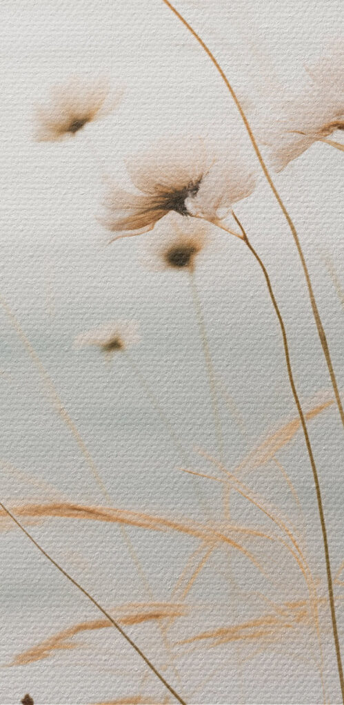 Gentle breeze through tall grasses Gentle breeze through tall grasses
