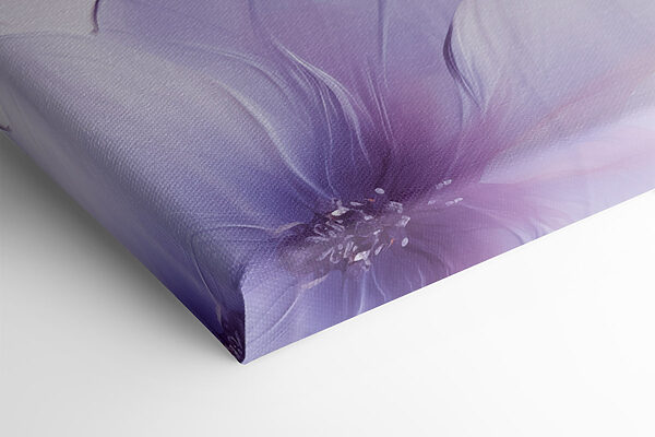 Delicate petals in soft hues Delicate petals in soft hues