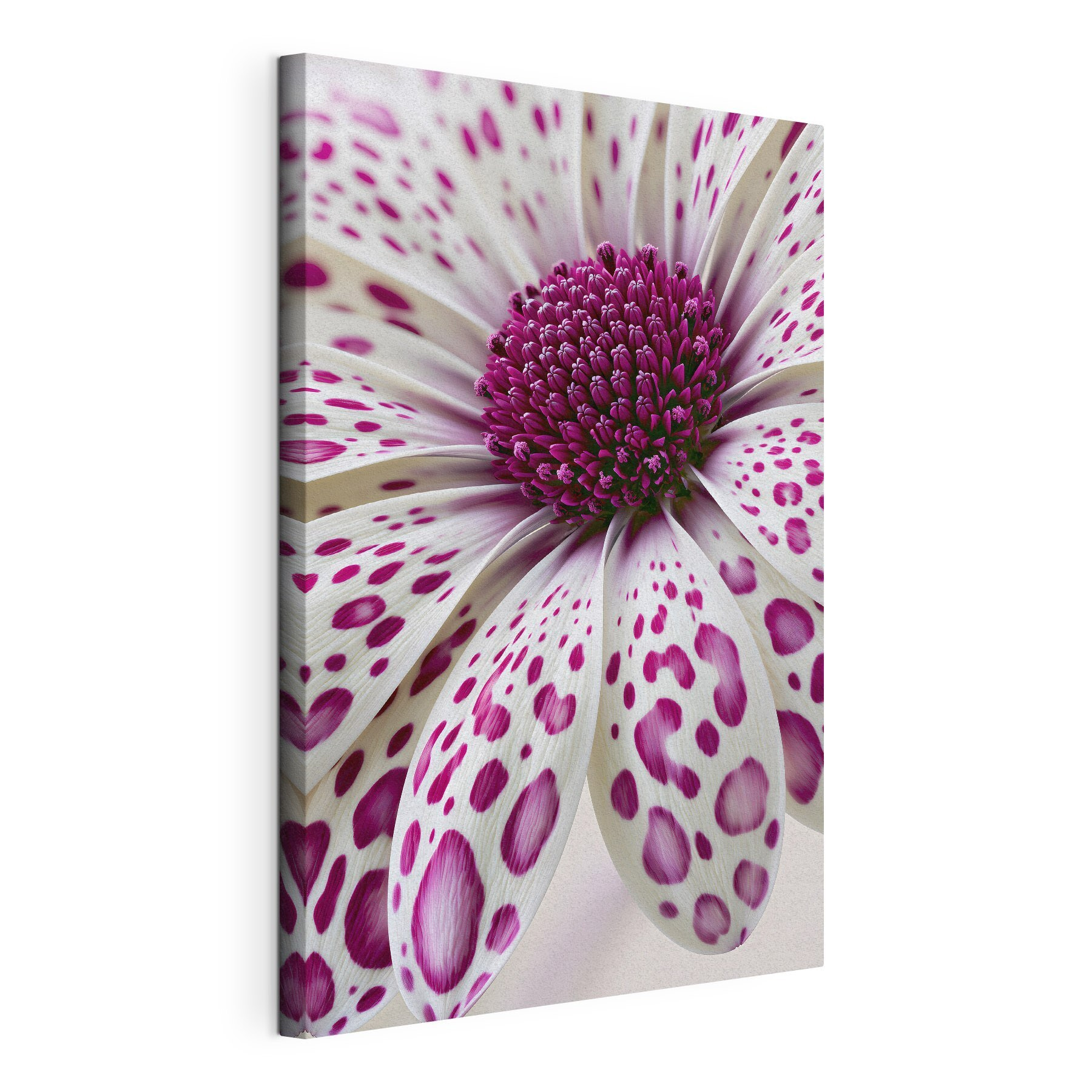Vibrant petals in soft hues Vibrant petals in soft hues