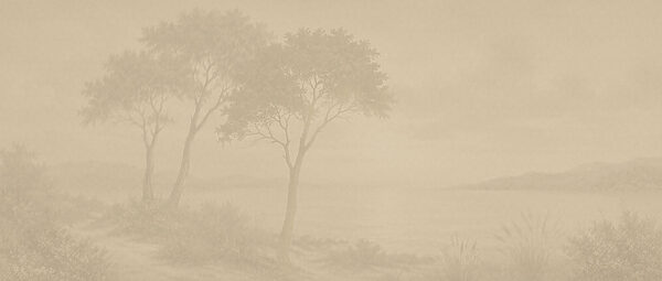Tree in a foggy landscape Tree in a foggy landscape