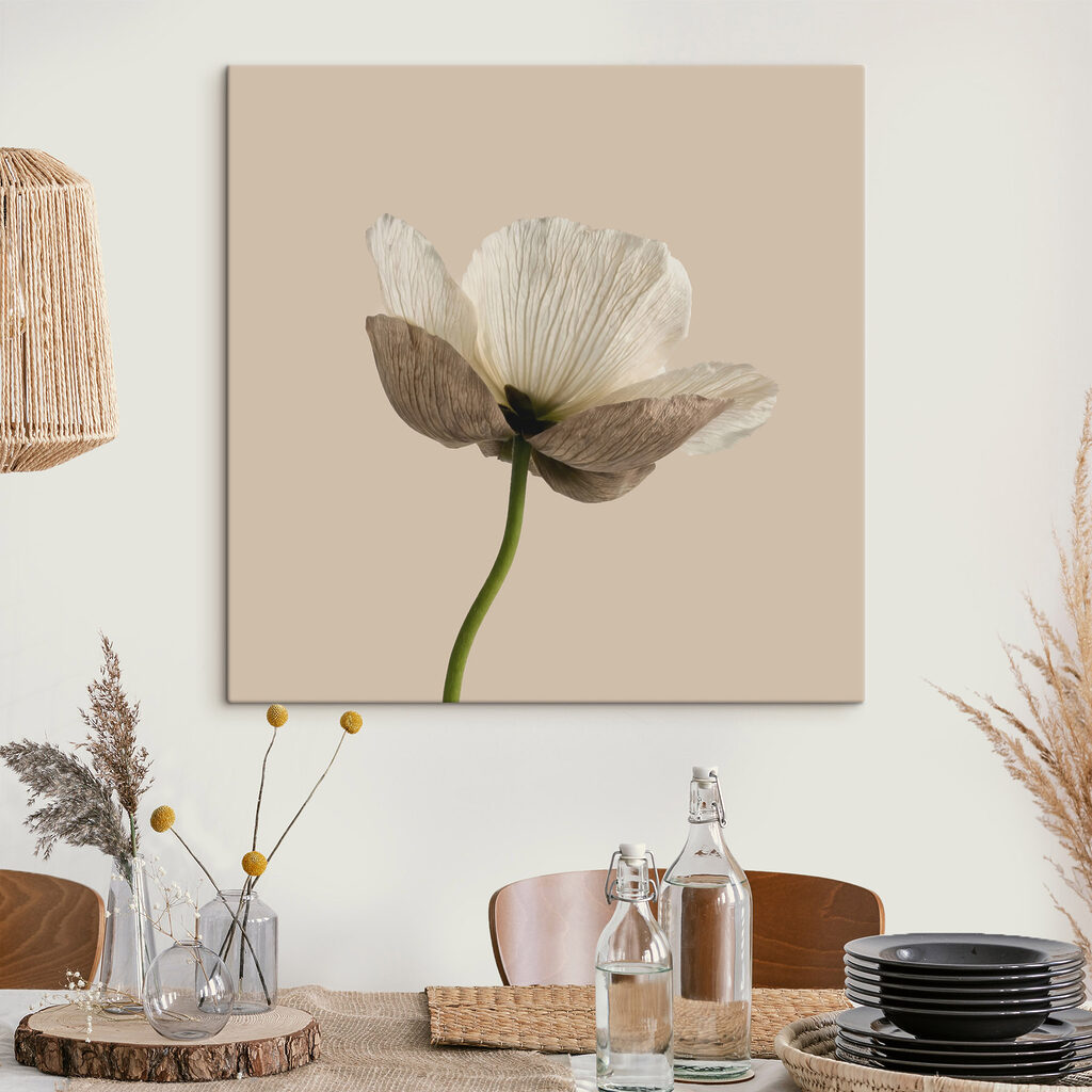 White flower with brown petals