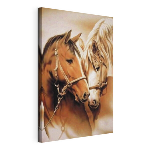 Cuadros Un primer plano de dos caballos