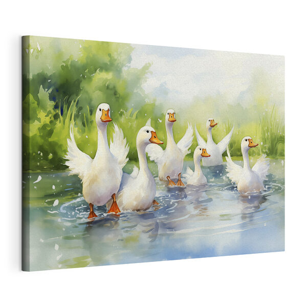 Cuadros Un grupo de patos blancos nadando en el agua