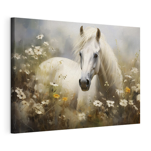 Cuadros Cuadros Un caballo blanco en un campo de flores (SKU: s40533)