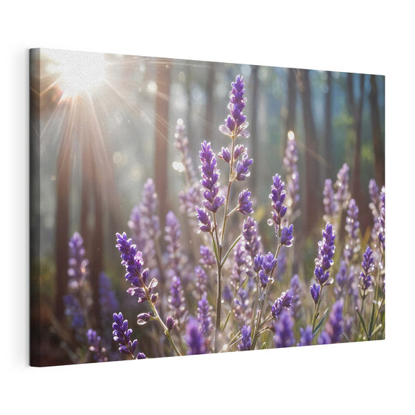 Cuadros Primer plano de unas flores moradas