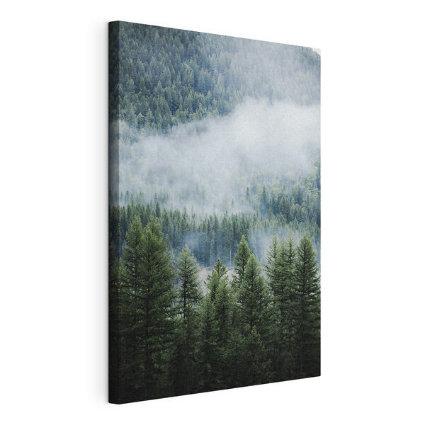 Bosque con niebla y nubes Cuadros Bosque con niebla y nubes