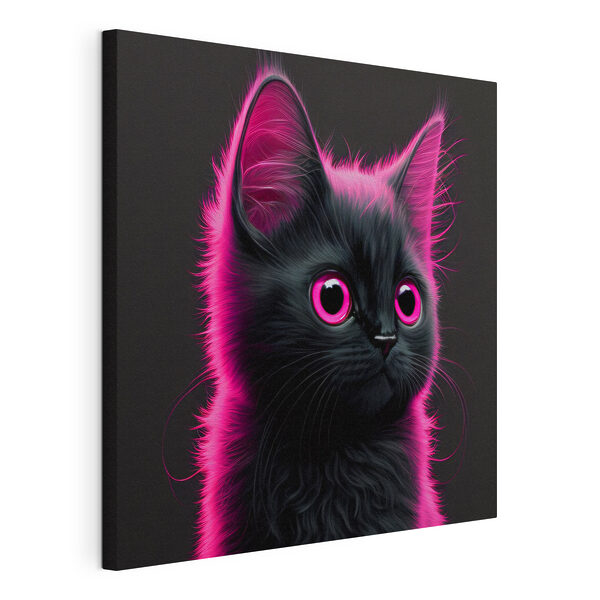 Gato negro con pelo rosa Cuadros Gato negro con pelo rosa