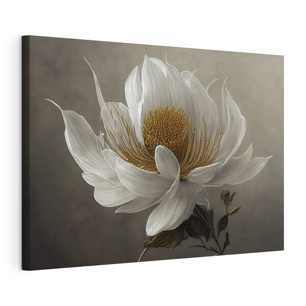 Cuadros Una flor blanca con el centro amarillo (SKU: s35725) Cuadros Cuadros Una flor blanca con el centro amarillo (SKU: s35725)