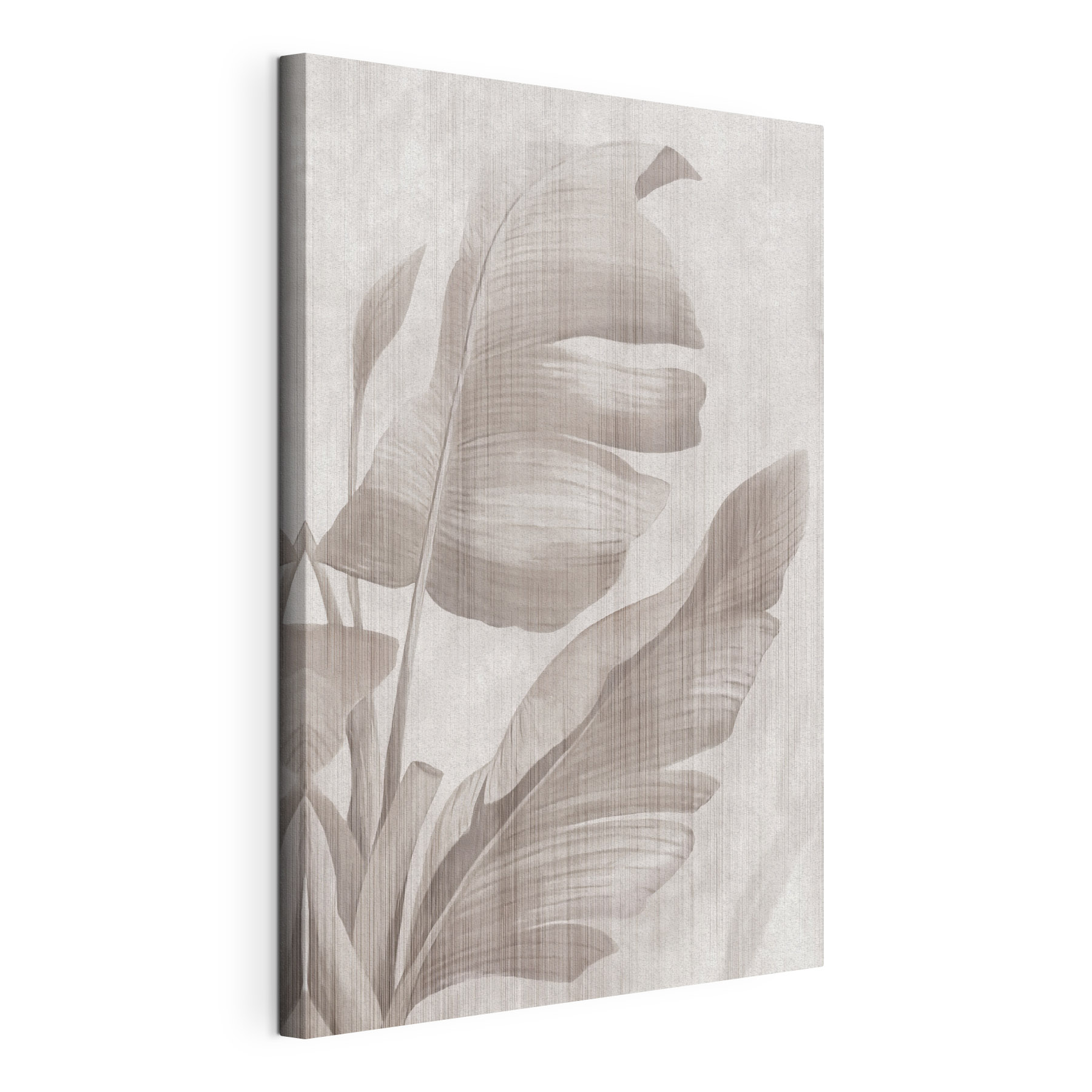 Elegant leaves in soft tones Elegant leaves in soft tones