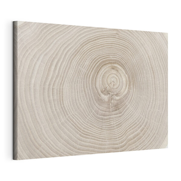 Un primer plano del tronco de un árbol Cuadros Un primer plano del tronco de un árbol