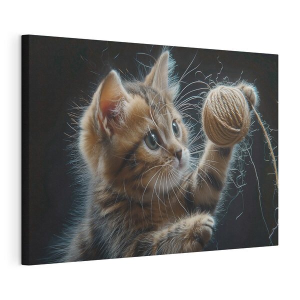 Un gato jugando con un ovillo de lana Cuadros Un gato jugando con un ovillo de lana