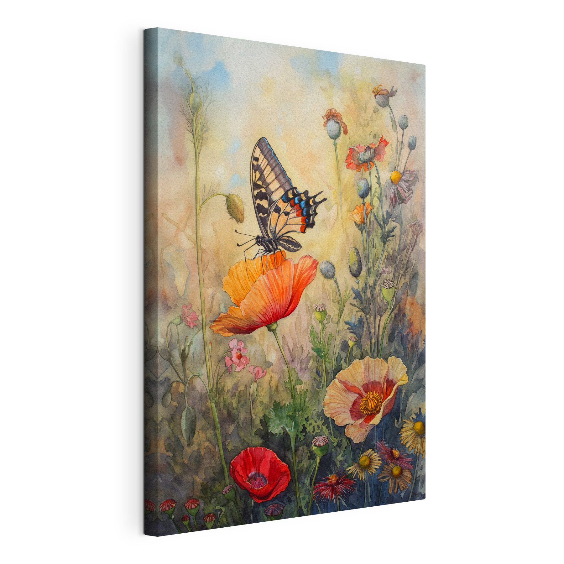A butterfly on a flower