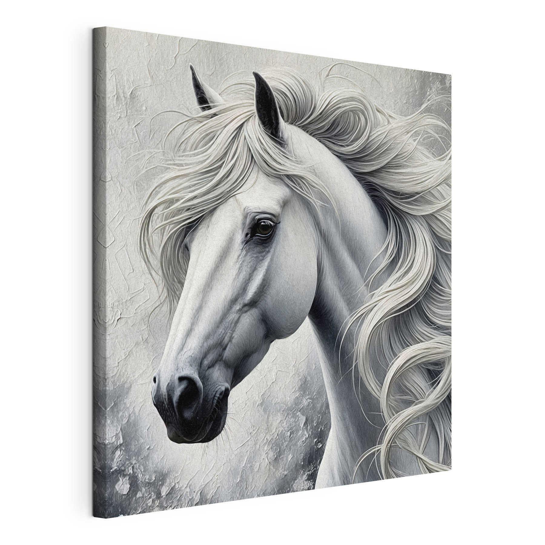 White horse with long hair