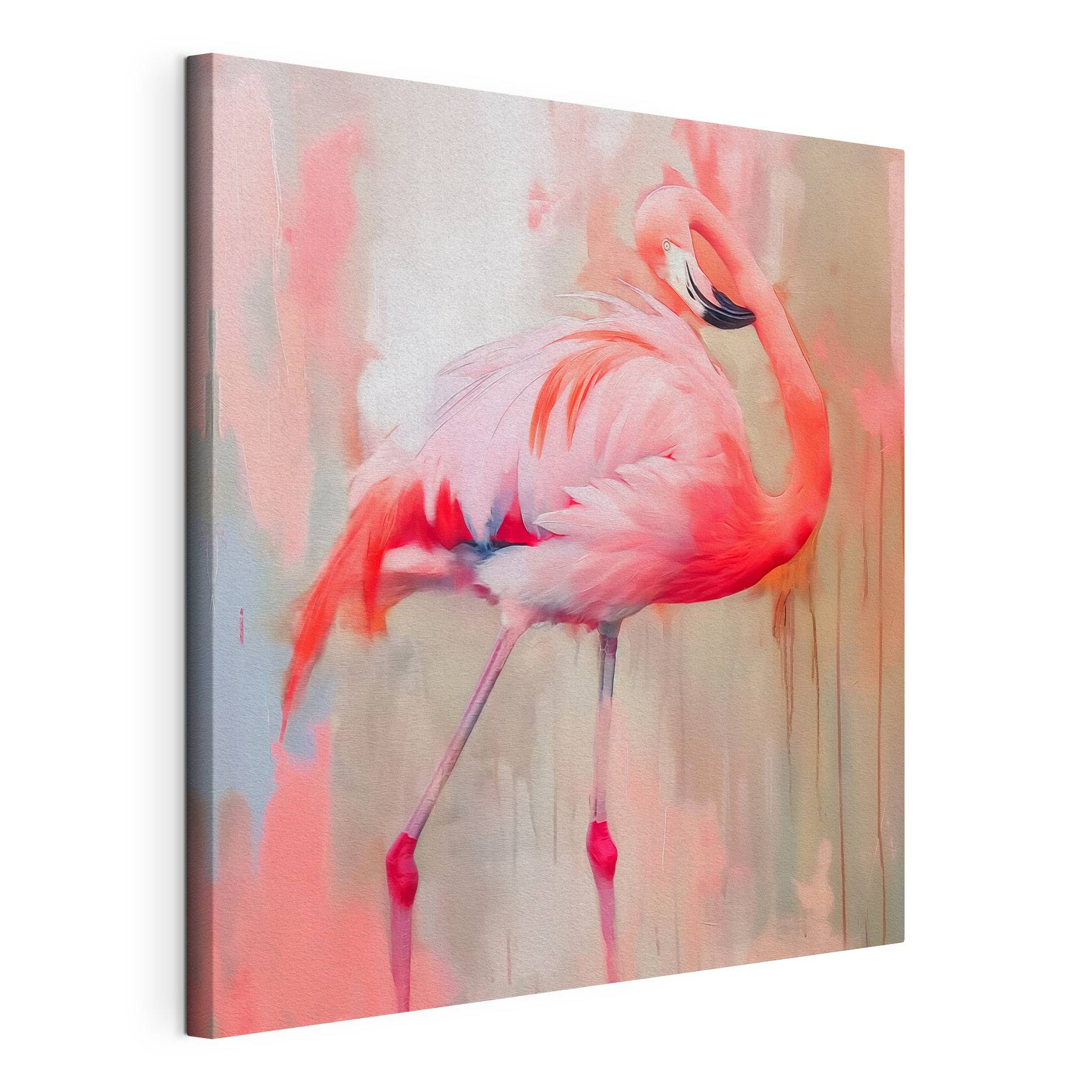 Pink flamingo with long legs Pink flamingo with long legs