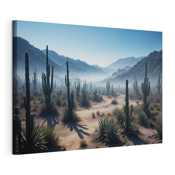 Cactus en el desierto Cuadros Cactus en el desierto