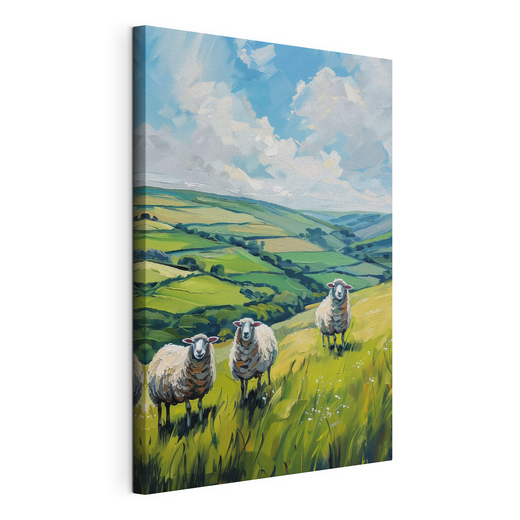 Group of sheep on a grassy hill Group of sheep on a grassy hill