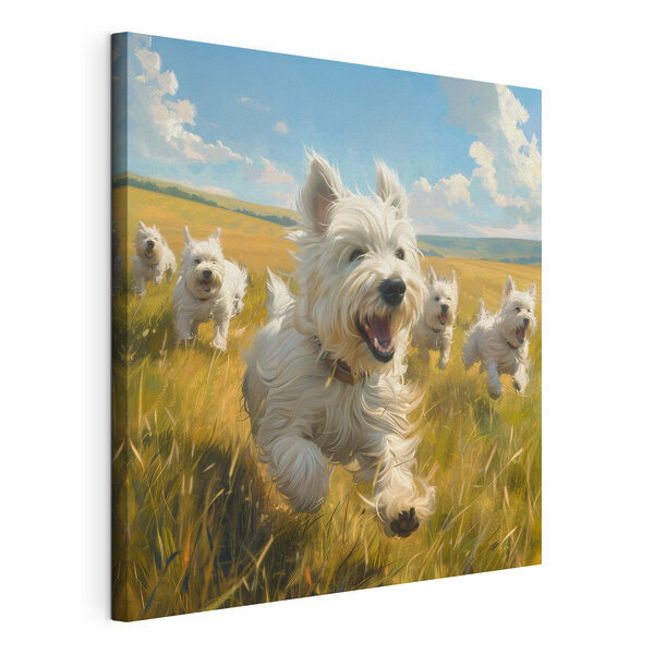Cuadros Un grupo de perros blancos corriendo por un campo