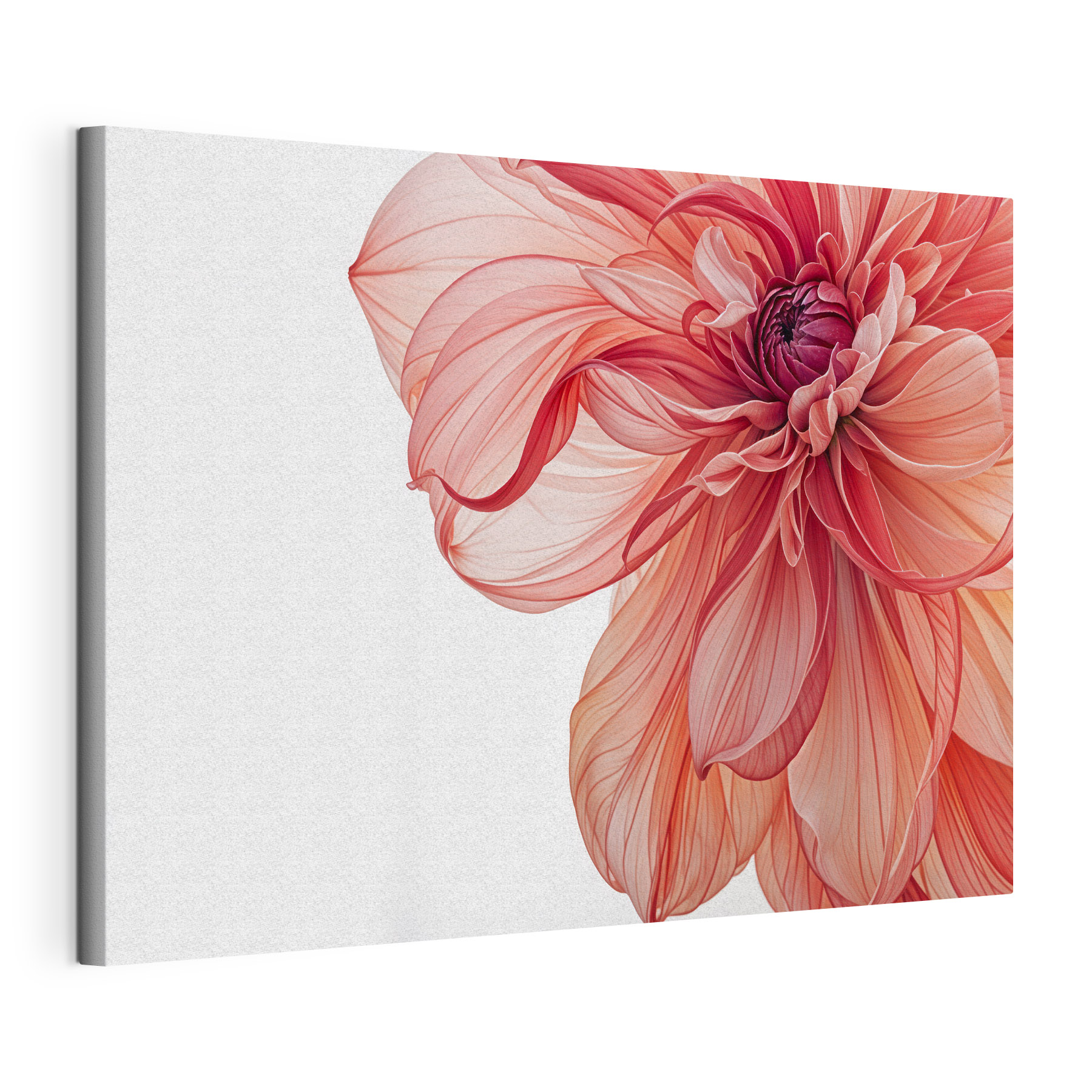 Delicate petals in soft hues