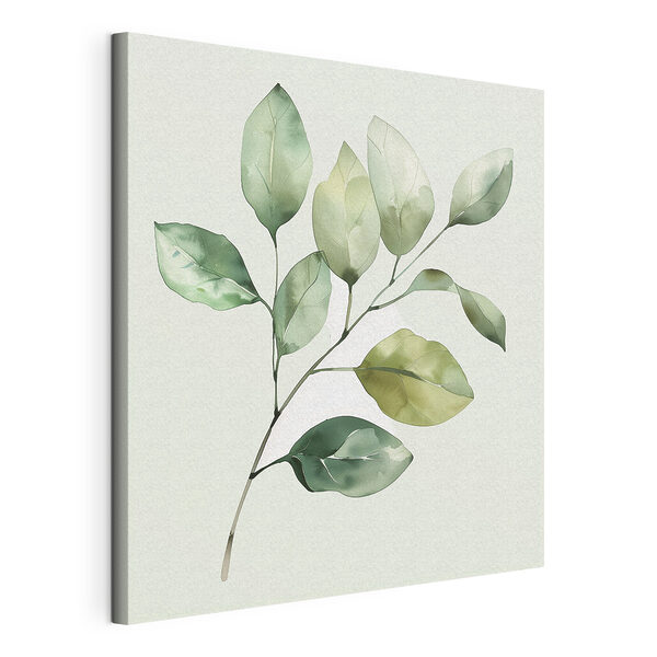 Cuadros Cuadros Planta de hojas verdes sobre fondo blanco (SKU: s40766)