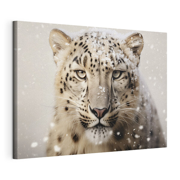 Cuadros Leopardo de las nieves con nieve en la cabeza