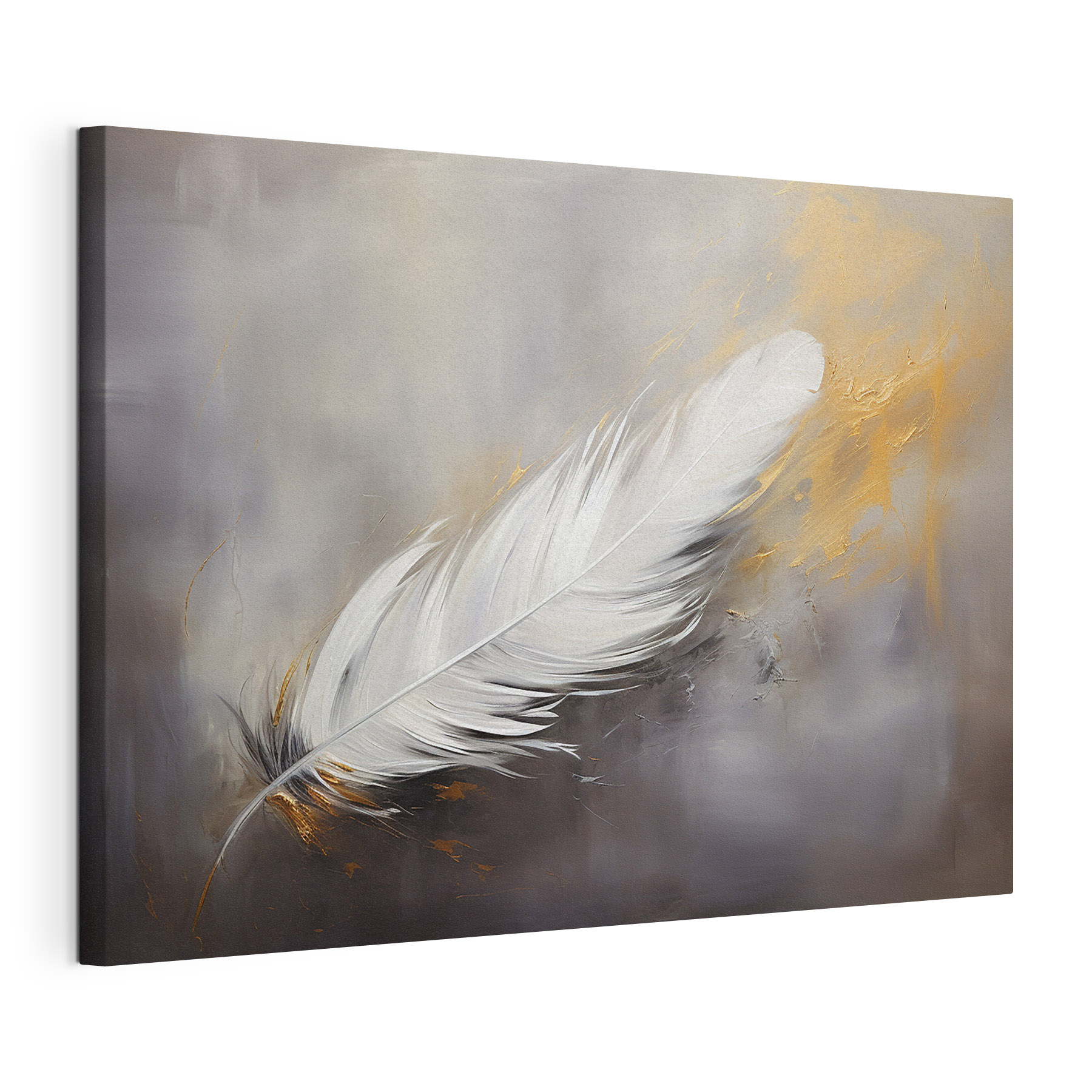 White feather on a grey background