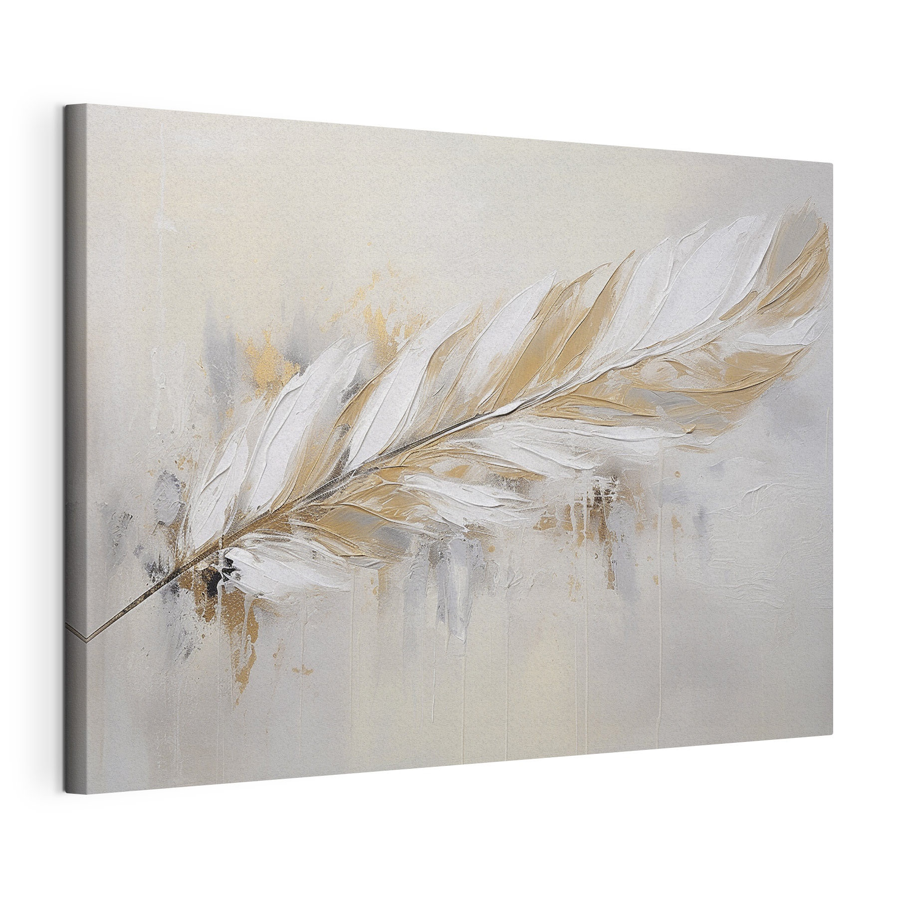 Delicate feather on a soft background