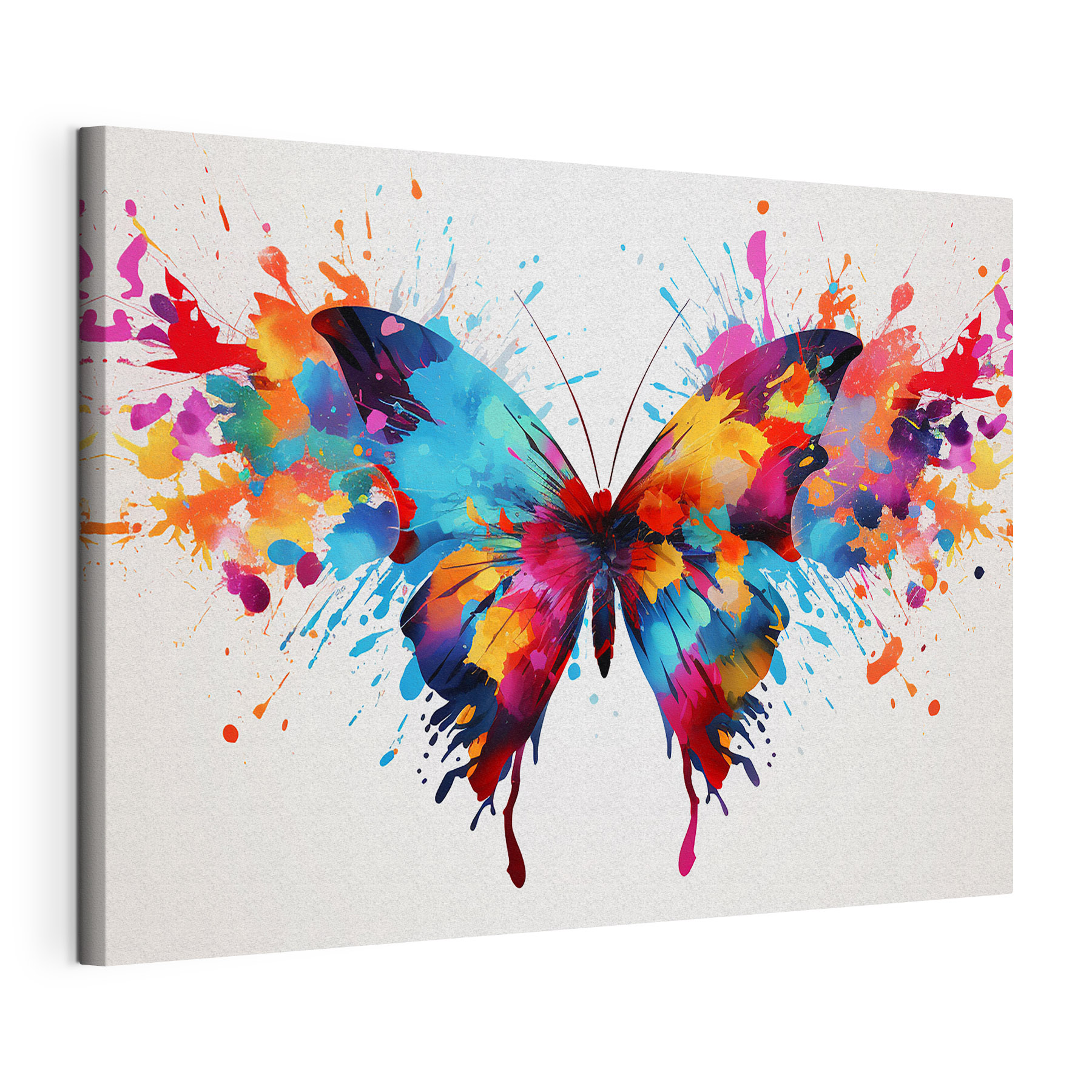 Colorful butterfly with paint splashes Colorful butterfly with paint splashes