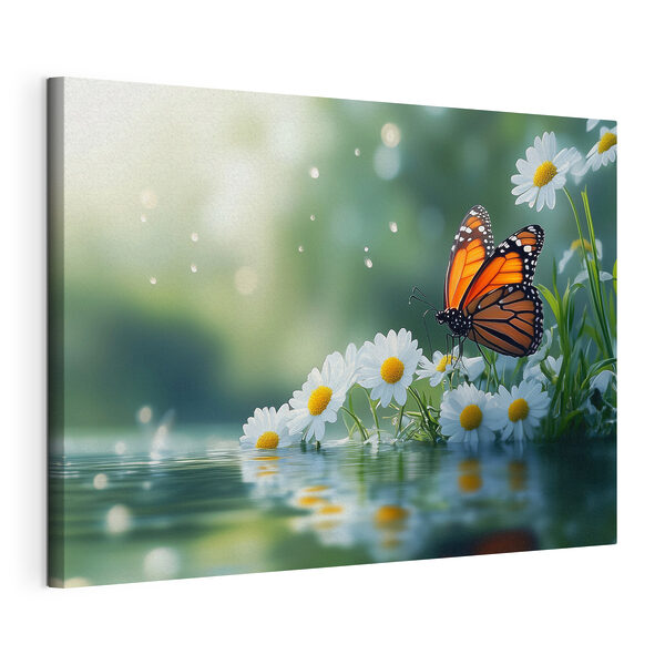 Cuadros Mariposa sobre una flor