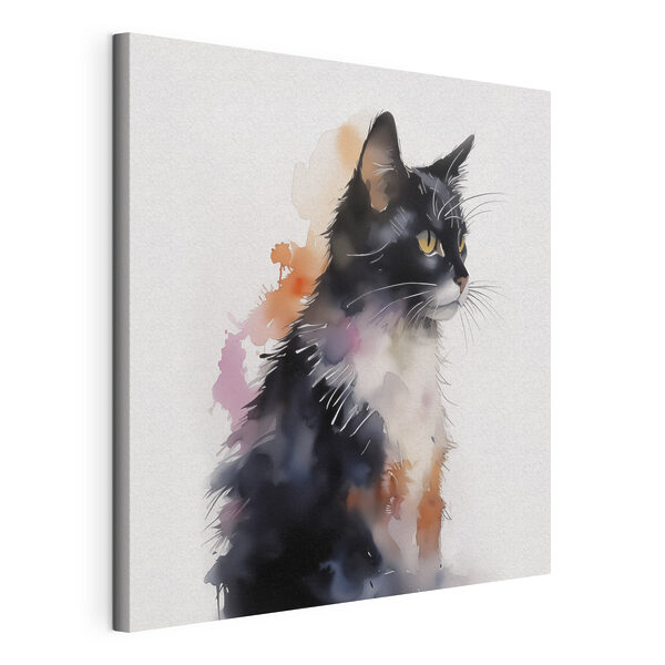 Gato con la cara blanca y negra Cuadros Gato con la cara blanca y negra