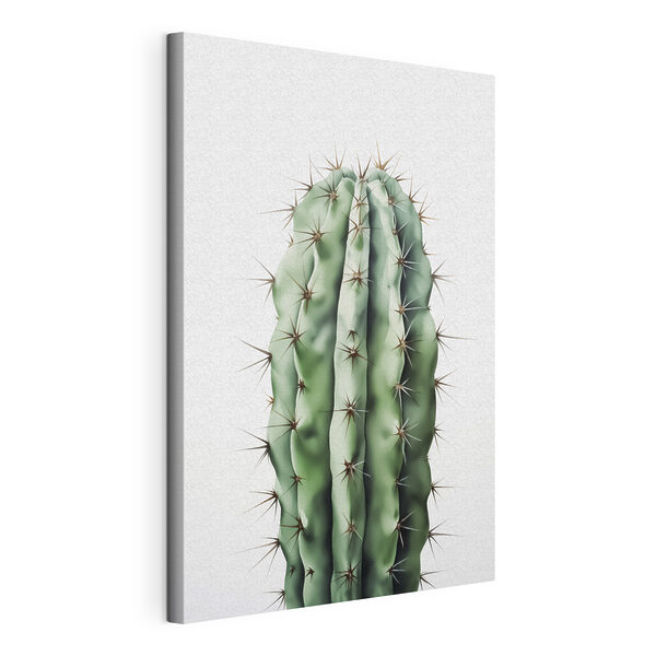 Cactus con espinas Cuadros Cactus con espinas