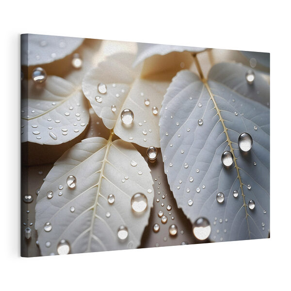 Cuadros Las delicadas gotas de la naturaleza sobre las hojas (SKU: s43159) Cuadros Cuadros Las delicadas gotas de la naturaleza sobre las hojas (SKU: s43159)