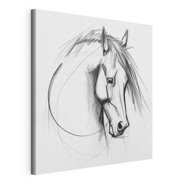 Cuadros Dibujo de un caballo