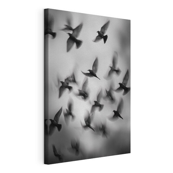 Una bandada de pájaros volando por el cielo Cuadros Una bandada de pájaros volando por el cielo