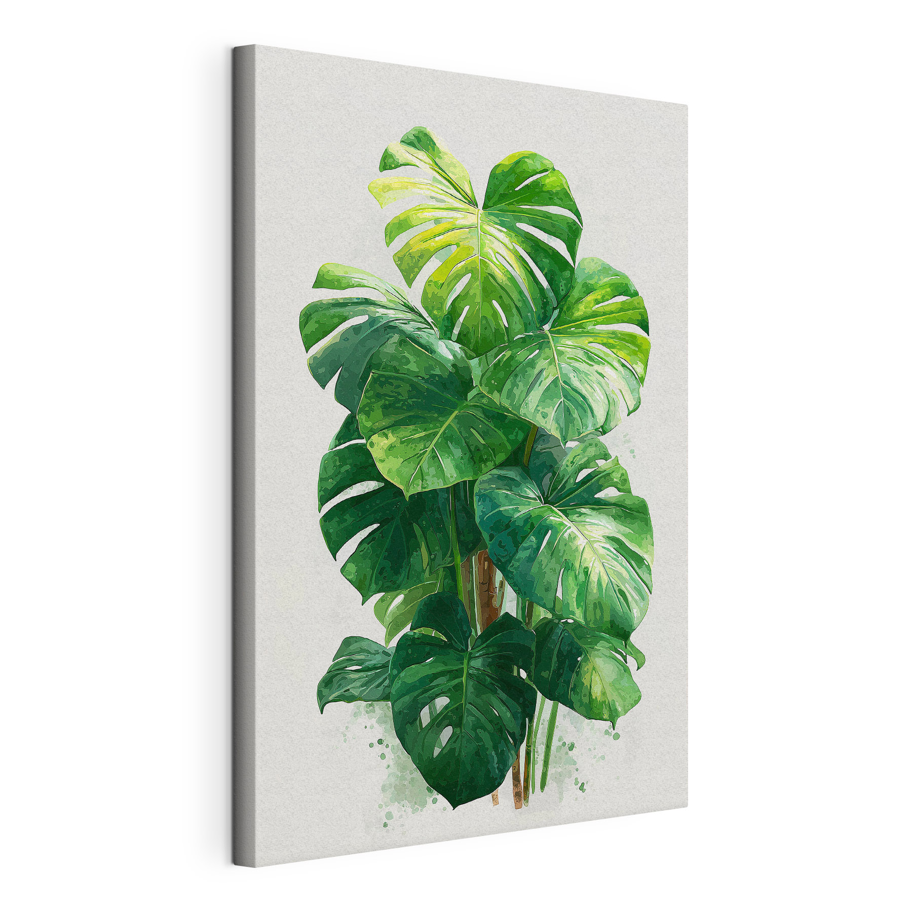 Large green plant with large leaves