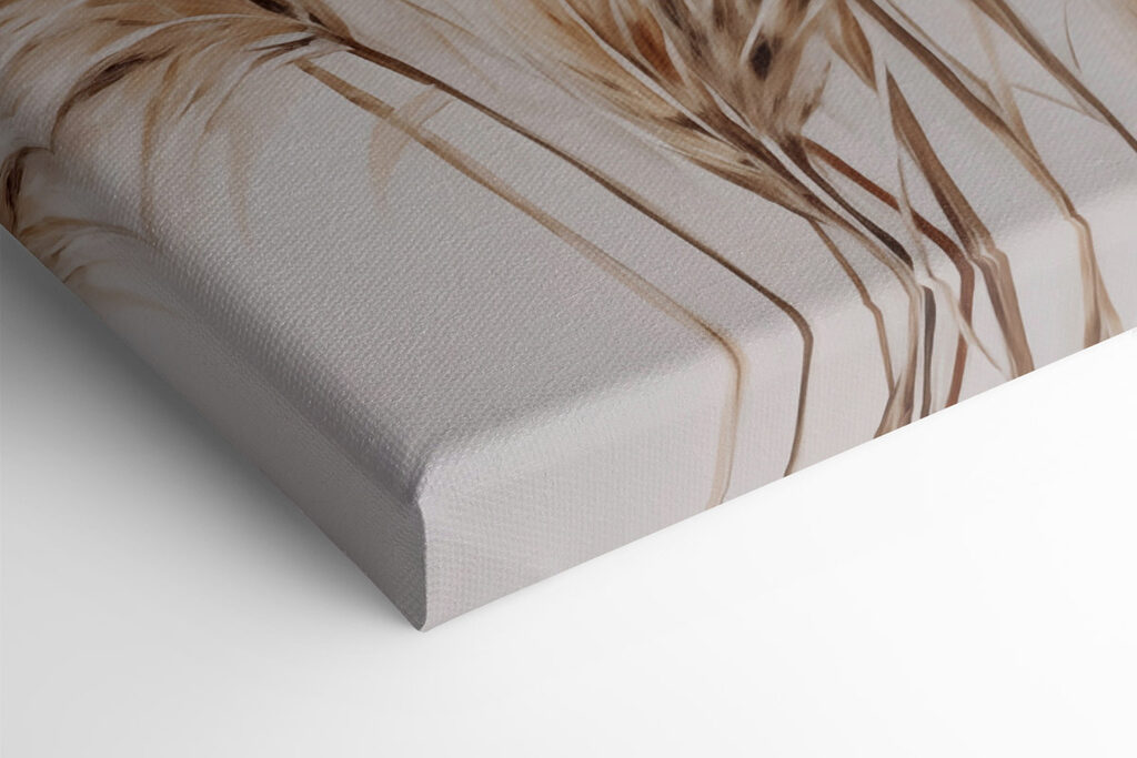 Group of brown and white plants