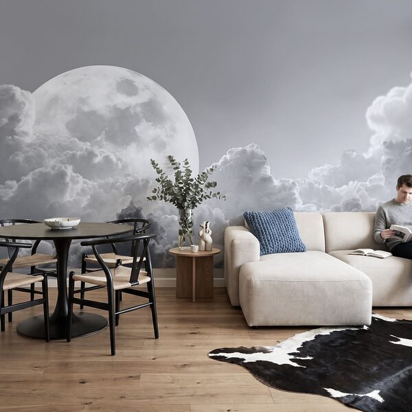 Luna llena en el cielo