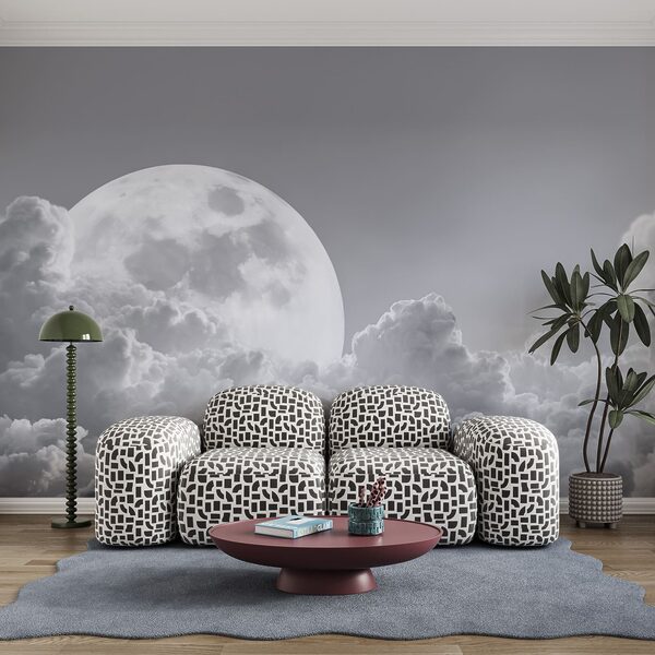 Luna llena en el cielo